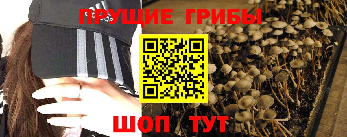 наркота  Вход с VPN  Звенигород  Галлюциногенные грибы мицелий 