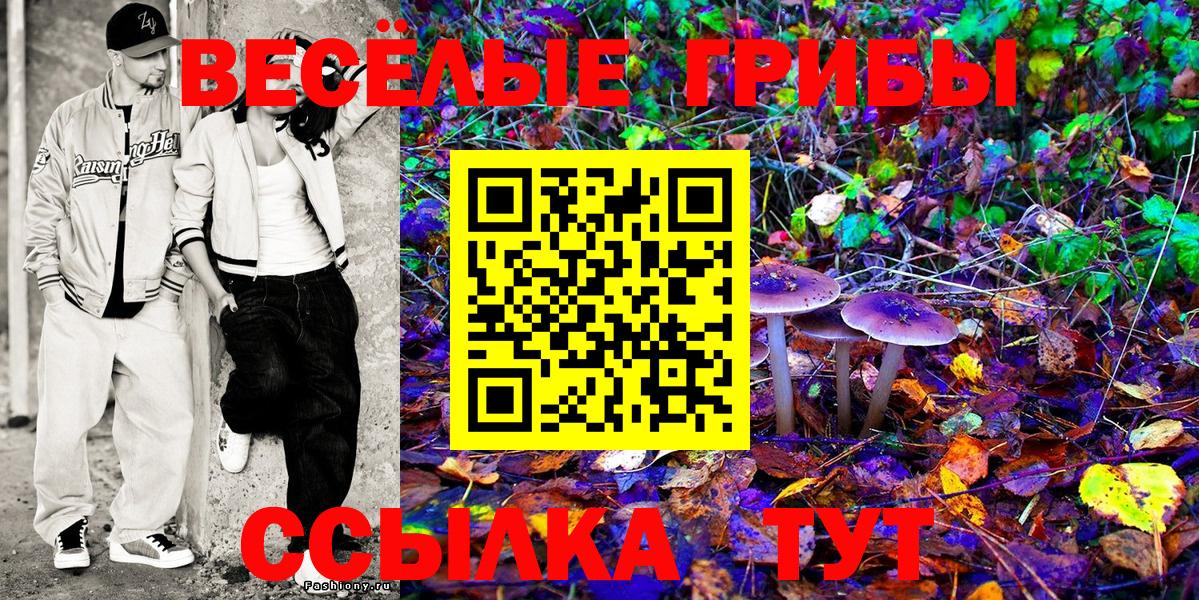 Псилоцибиновые грибы Psilocybine cubensis Звенигород